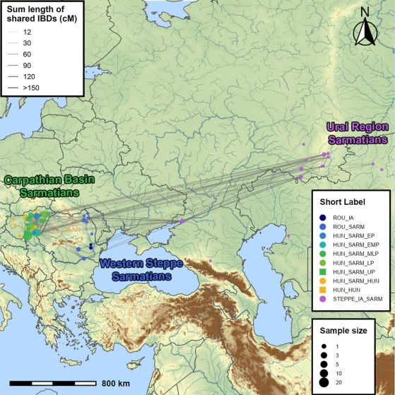 Графично резюме.Cell (2025). DOI: 10.1016/j.cell.2025.05.009