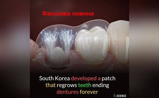 илюстрация на регенерираните зъби