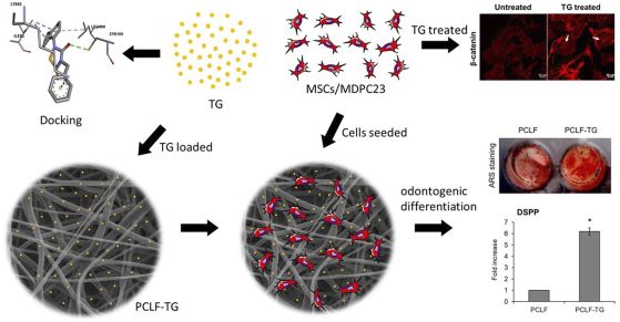 Графично резюме