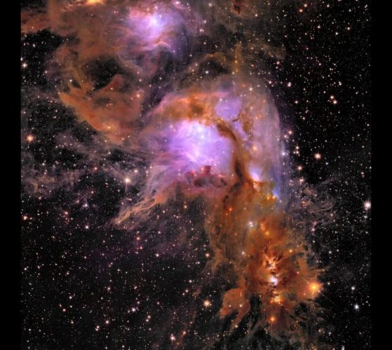 Изглед във видимата светлина, направен от Евклид на звездообразуващ район в галактиката Месие 78, разположена на 1300 светлинни години в съзвездието Орион. Зашеметяващото изображение показва млади звезди, образуващи се между нишки от газ и прах.