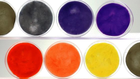 Пълният спектър от бактериални цветове, получени в проучването. Кредит: Zhou et al., Trends in Biotechnology