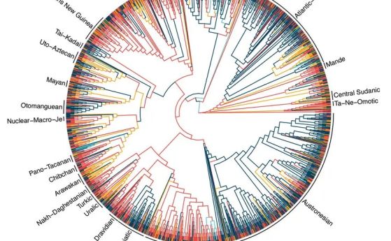 Кръгова диаграма, изобразяваща езикови семейства, като всеки клон е цветово кодиран, за да демонстрира различни категории състояния. Етикетите включват индоевропейски, китайско-тибетски и австронезийски.