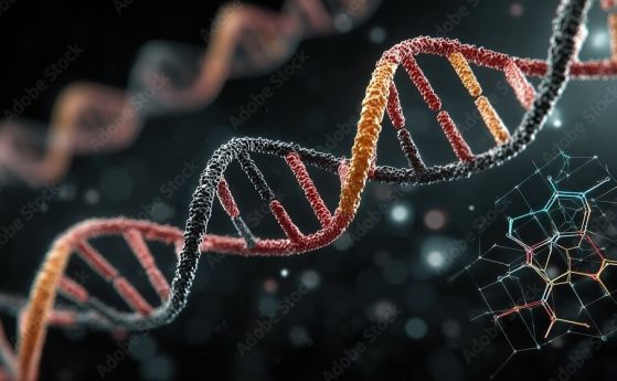 Ново проучване показва, че еволюцията може да изглежда неутрална само защото променящата се среда пречи на полезните мутации да поемат контрол.