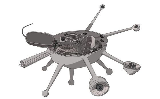 Илюстрация на напречно сечение на клетка Solarion.