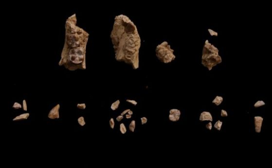 фрагменти от кости