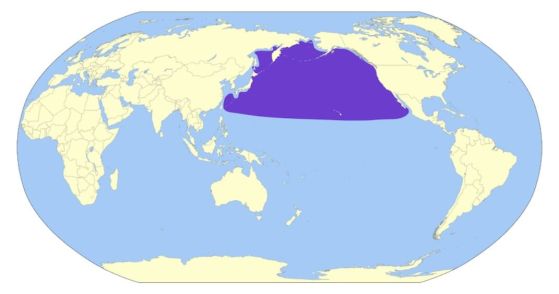 Карта, показваща Тихия океан с граничещите континенти. Ареалът на Лайсанския албатрос е оцветен в лилаво и обхваща северната част на Тихия океан между Азия и Северна Америка.