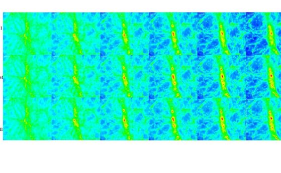 Еволюция на плътността на материята в едромащабни нишковидни структури. В модела IDE I, ореолите на тъмната материя са рехави и удължени, докато в модела IDE II те са компактни и заоблени. 