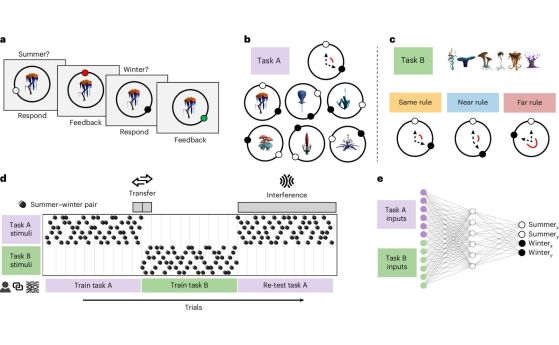 Дизайн на задачата.