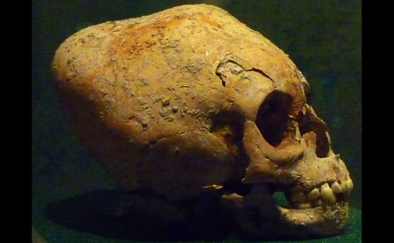 модифициран череп на маите