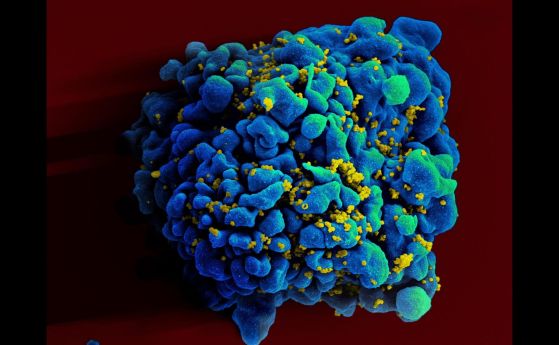 синьо-зелено кълбо