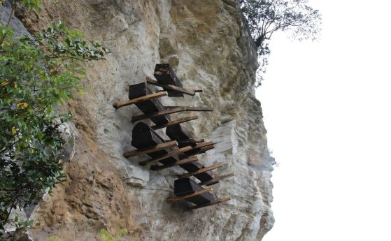 Висящи ковчези