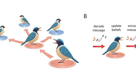 Серийно предаване на дезинформативни съобщения