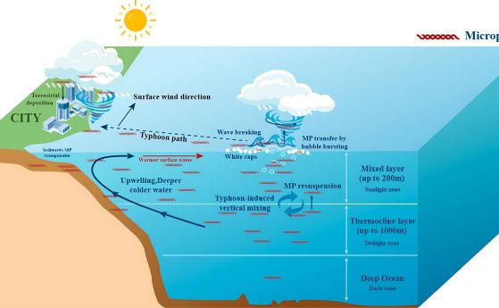 Концептуална диаграма, показваща потенциалния механизъм на индуцирано от тайфун пренасяне на микроплазматични частици от дълбоките океани към атмосферата и към сушата.