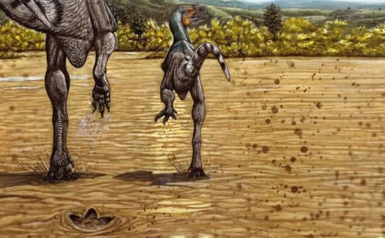 Тероподни динозаври тичат през калта