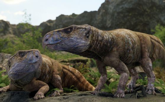 Реконструкция на Ajkaceratops kozmai.