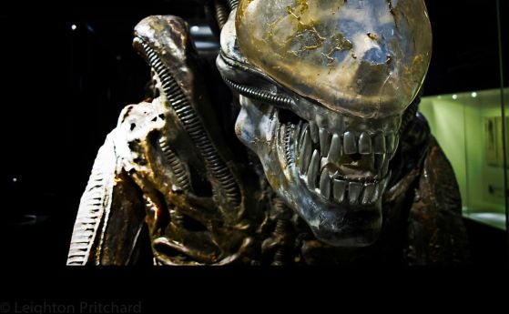 Ксенопморф от поредицата "Alien"