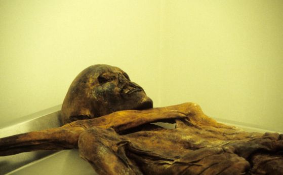 Близък план на главата и ръката на мумията на леден човек на име Йоци.