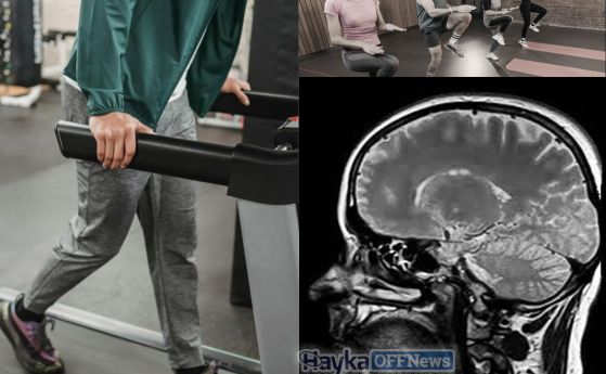 бягаща пътечка, групови аеробни упражнения, скан на мозък