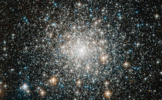 звезден куп