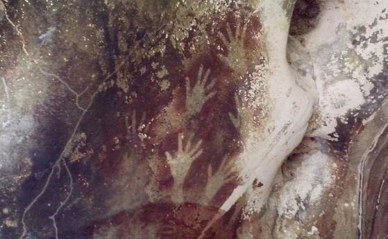 Контури за ръце 