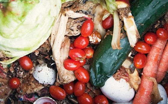 Как и защо изхвърляме храната си?