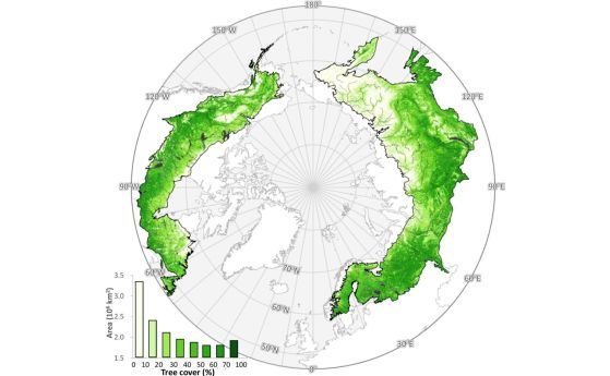 Разпределение на тайгата в Северното полукълбо