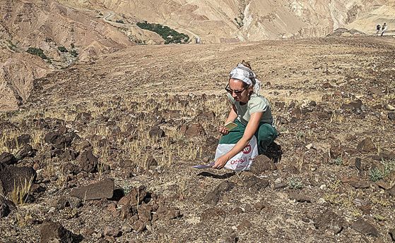  Археоботаничката Амая Аранц-Отаеги, съавтор на изследването, взема проби от диви растения близо до Маин в Йордания.