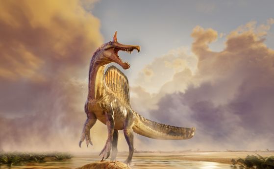 Spinosaurus mirabilis е изправен над труп на целаканта Mawsonia на залесения бряг на река преди около 95 милиона години в днешната пустиня Сахара в Нигер.