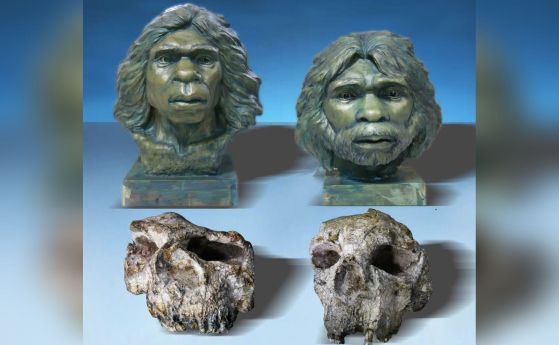 2 черепа и 2 възстановки на древен човек