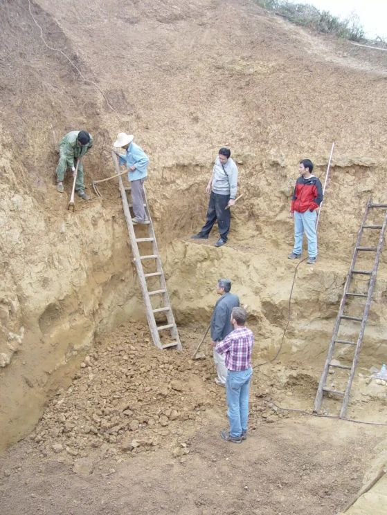 Разкопки на Homo erectus в Юнсян
