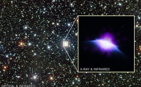 млада звезда