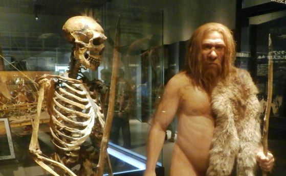 Неандерталски човек