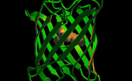 спирала, светеща в зелено