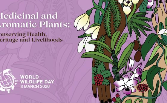 Темата на Световния ден на природата за 2026 е Лечебни и ароматни растения: опазване на здравето, наследството и препитанието