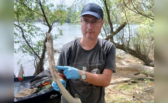 доц. Й. Кошев проучва на бобрите по островите на река Дунав