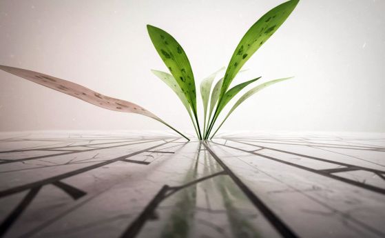 абстракция биофотоника