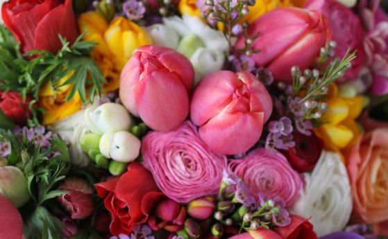 Скритите бодли на цветната индустрия