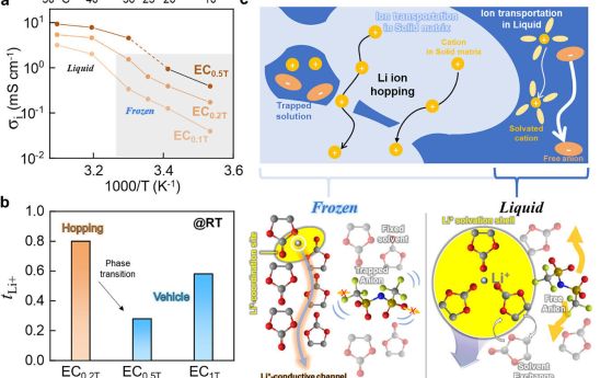 Йонно-транспортни свойства на органични ледени електролити