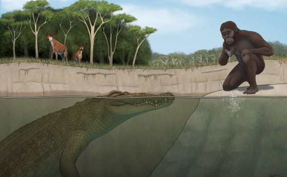 крокодил и Луси