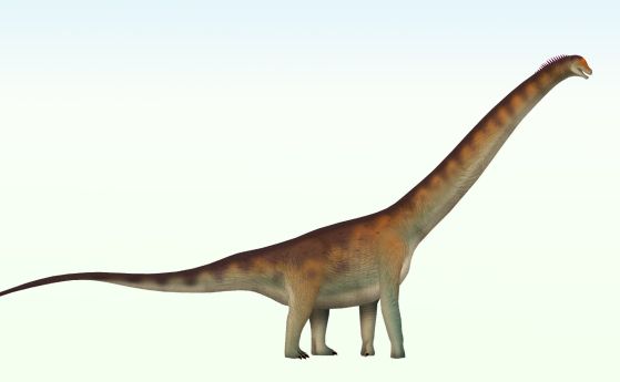 динозавър с дълга шия и мощни крака