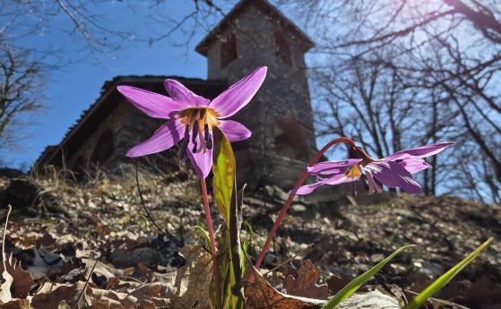 пролетно равноденствие