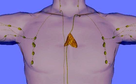 тимусит е зад гръдната кост