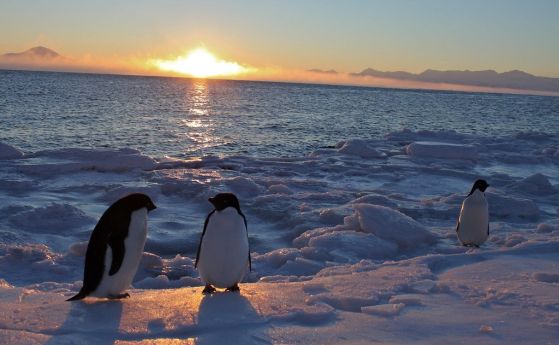 залез над Южния океан с два пингвина на преден план върху антарктическия лед.