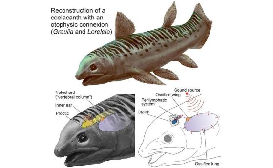 Триаски целакант