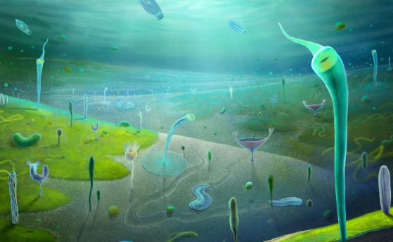 Реконструкция на биотата на Дзянчуан (преди ~554-539 милиона години).