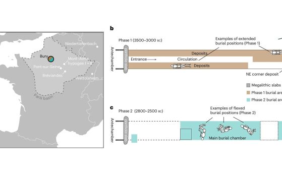 Местоположение на Бюри и подобни обекти с налични генетични данни, с подчертан географски обхват на Парижкия басейн. b, Схематичен преглед на погребенията в Бюри по време на Фаза 1.  c, Схематичен преглед на погребенията в Бюри по време на Фаза 2.