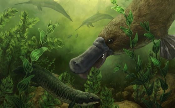 Художествено изображение на зъбата птичечовка, живяла преди 25 милиона години, вероятно с други водни животни, включително древни белодробни риби и сладководни делфини.