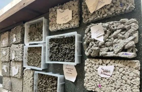 Лука Дърам тества няколко рецепти за бетон, използвайки чакъл, дървени въглища и рециклирани черупки.