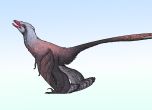 Changzhousaurus sinensis