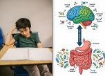 Хората с диагноза ADHD (разстройството на вниманието с хиперактивност) са изправени пред много по-висока вероятност за появата на чревни симптоми, включително запек, диария, синдром на раздразнените черва и стомашни болки, в сравнение с хората без ADHD. Ч